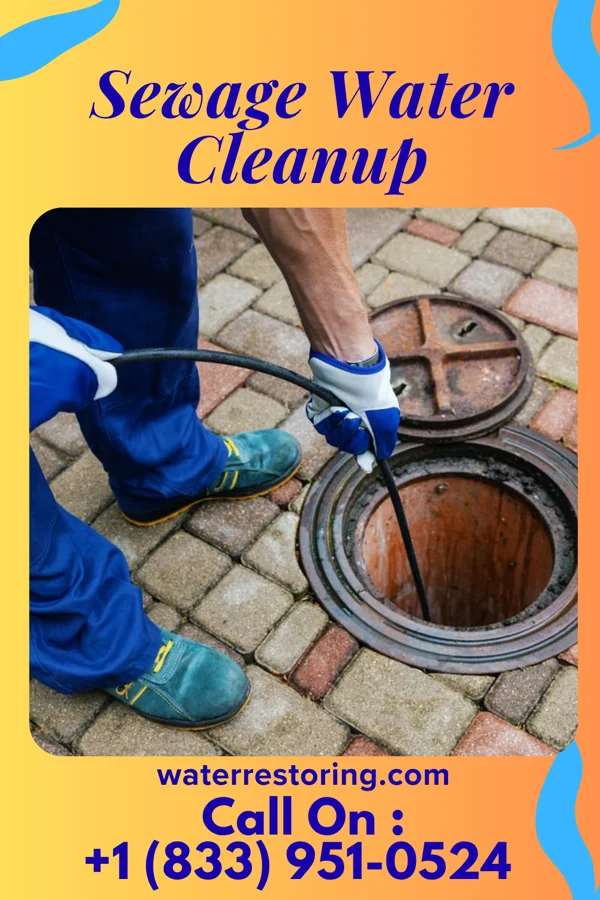 Sewage Water Cleanup in Heritage Creek, KY